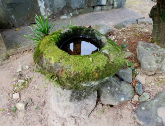 苔の生えた手水鉢