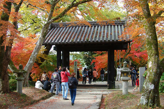秋月一番の紅葉の名所である秋月城本門（黒門）付近は観光客やカメラマンが絶えない