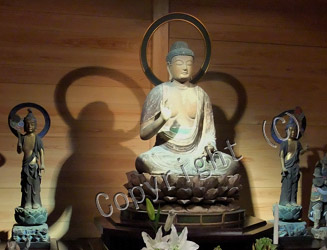 本尊の薬師如来坐像(秘仏)