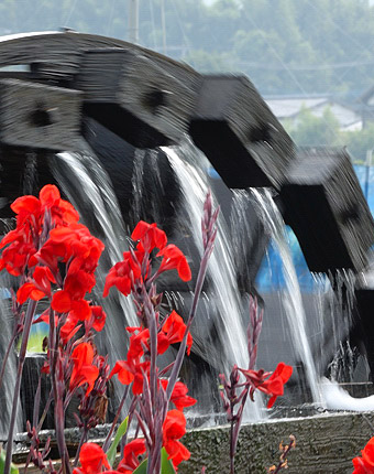 カンナの花と菱野三連水車