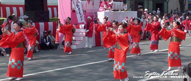コスモスじろ長どんたく隊 (昨年度 福岡市民の祭り振興会会長賞)
