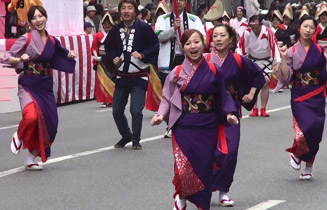 天草ハイヤどんたく隊