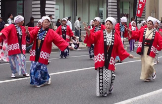 まるやまどんたく隊