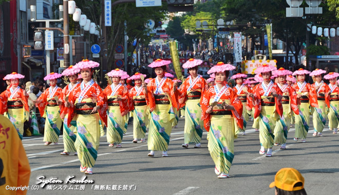 博多民踊協会どんたく隊 (昨年度福岡市長賞)