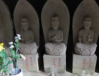 いろいろな菩薩や如来の仏像が並ぶ