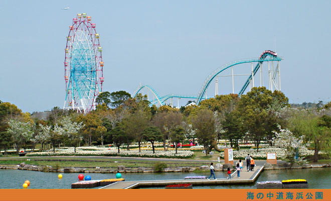 海の中道海浜公園（福岡市）・福岡地域別探検