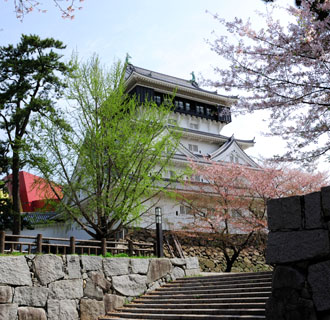 桜は半分近く散っていた