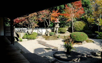 落ち着く日本庭園