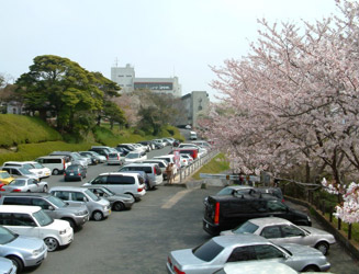 駐車場もあるが桜の季節はいつも満杯
