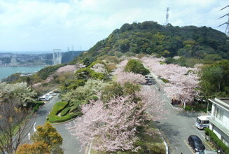 めかり山荘のレストランから見る桜