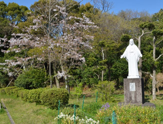 外にある使徒ヨハネ（差し伸べる手）の像と桜