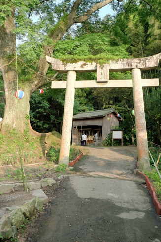 須賀神社(通称お祇園様)の鳥居と栴檀(せんだん)の大木