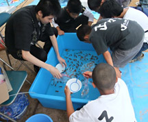 祭と言えば「きんぎょすくい」ですね