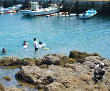 漁港で泳ぐ地元の子供達