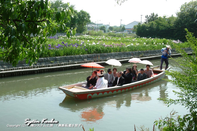 柳川の風物詩である花嫁舟（式場から披露宴会場にドンコ船で移動する花婿・花嫁さん）後ろは椛島菖蒲園