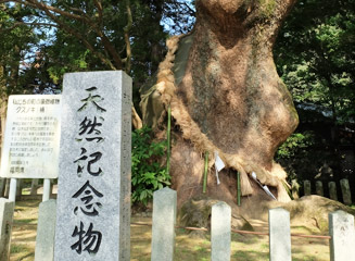 福岡県の天然記念物に指定されている