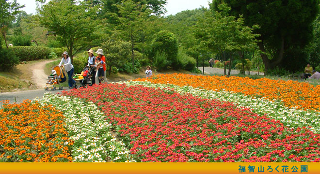 福智山ろく花公園は福智山の山麓にある花公園