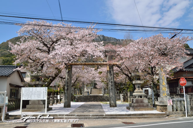 桜の名所でもある香春神社　　（ 2014/4/2 撮影）