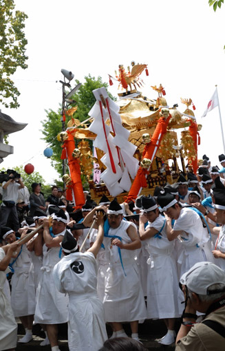 神輿(みこし)が石段を駆下る 【13:55 頃】