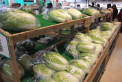 白菜もおいしそう!