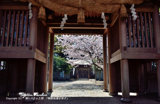 神門からみる須賀神社