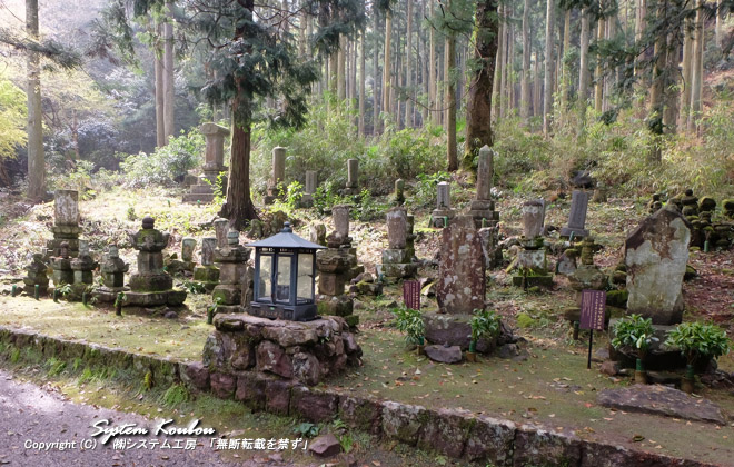 墓所には城井宇都宮家の多くの墓が並んでいる