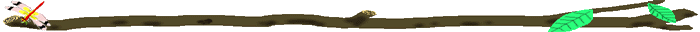 tonbo