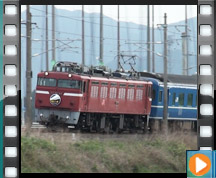 ���} ���������o�C�o�� ����ē�