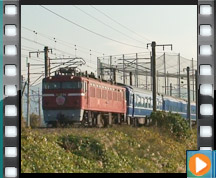 ���} �u���[�g���C���u������v�@����ē�