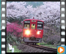 JR��B �L�n200�n220DC �f�B�[�[���J�[�i�v��{�� �L�㒆��w�j ����ē�