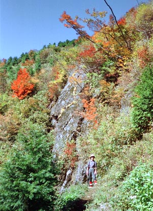 祖母山中腹の紅葉のきれいな場所